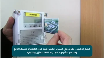 خصم الرصيد.. تعرف على أسباب خصم رصيد عداد الكهرباء مسبق الدفع وأسعار الشرائح الجديدة 2025 للمنزل والتجارة